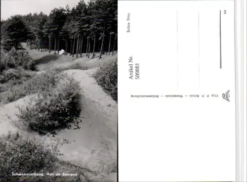 509881,Netherlands Schiermonnikoog Aan de bosrand Wald Düne Partie