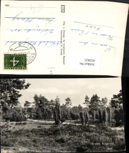 433821,Netherlands Ermelo Bosgezicht Landschaft