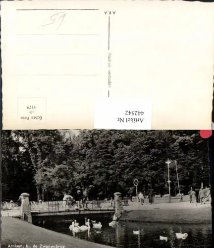 442542,Netherlands Arnhem bij de Zwanenbrug Brücke Schwäne
