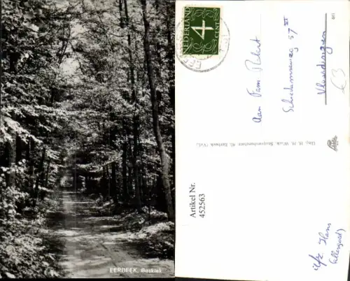 452563,Netherlands Eerbeek Boskiek Wald Wegpartie