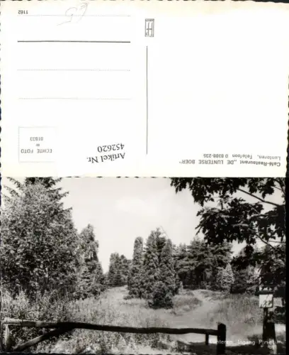 452620,Netherlands Ede Lunteren Ingang Pinetum Landschaft Wald