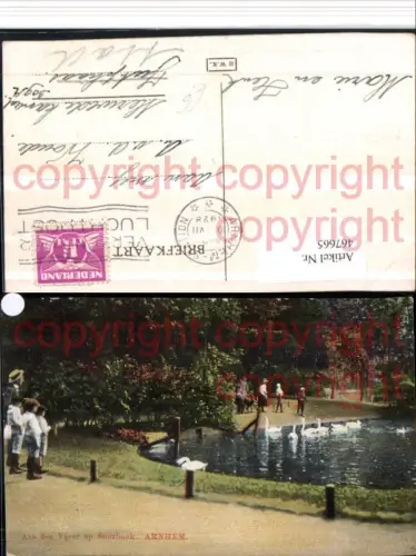 467665,Netherlands Arnhem Aan den Vijver op Sonsbeek Teich Schwäne