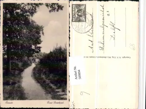 509894,Netherlands Ermelo Fraai Boschpad Wegpartie