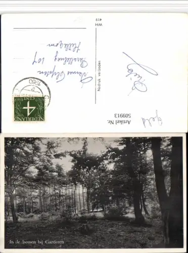 509913,Netherlands Garderen In de bossen Wald Partie