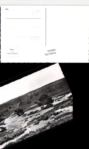 509916,Netherlands Epe Bij de Renderklippen Landschaft