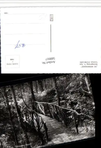 509917,Netherlands Epe Sprengen Norel Wald Brücke
