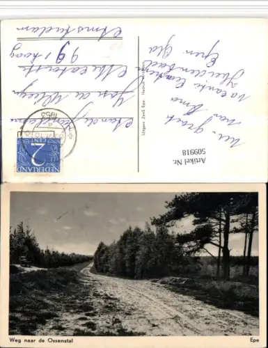 509918,Netherlands Epe Weg naar de Ossenstal Wegpartie Landschaft