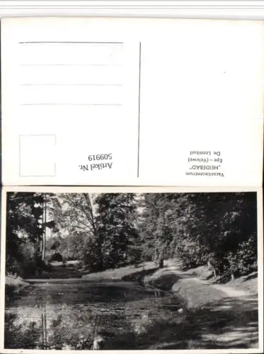 509919,Netherlands Epe Heidebad De Leemkuil Teich Wegpartie
