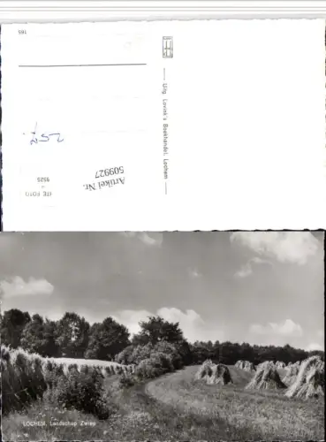 509927,Netherlands Lochem Landschap Zwiep Landschaft