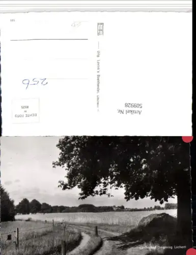 509928,Netherlands Lochem Landschap Omgeving Landschaft