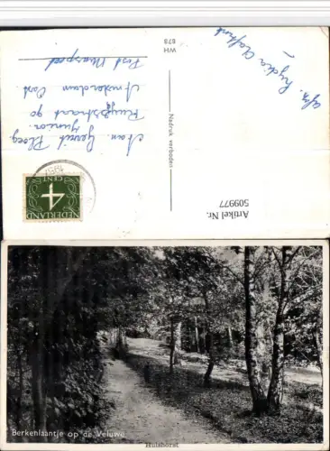 509977,Netherlands Hulshorst Berkenlaantje op de Veluwe Wegpartie