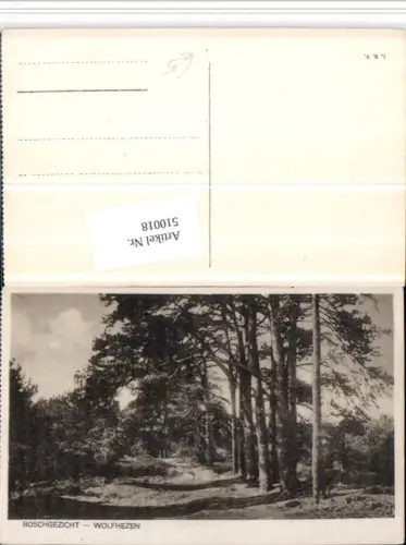 510018,Netherlands Wolfhezen Boschgezicht Wald Partie