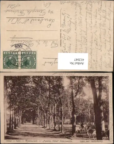 412047,Netherlands Paterswolde Laan met Hertenkamp Straße Wild