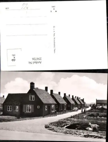 256726,Petten Middelweg Häuser Ziegen