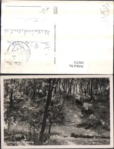 256737,Schoorl de Oorsprong Partie Wald