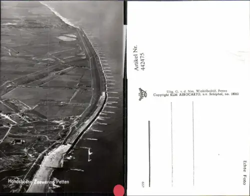 442475,Netherlands Petten Hondsbosse Zeewering Küste Fliegeraufnahme