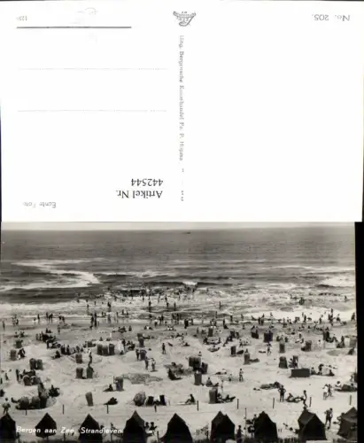 442544,Netherlands Bergen aan Zee Strandleven Strandleben Strand