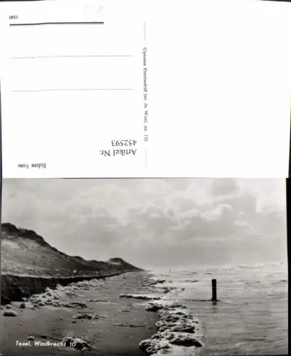 452593,Netherlands Texel Windkracht Küste Strand