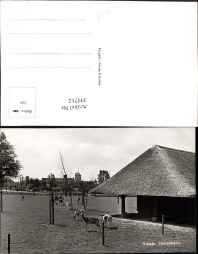 398212,Netherlands Almelo Hertenkamp Rehe Wild