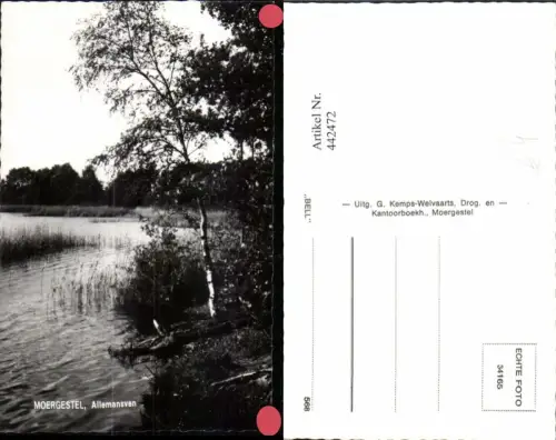 442472,Netherlands Moergestel Allemansven Teich Partie