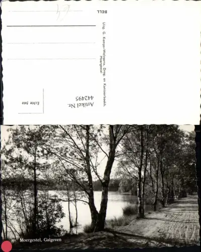 442495,Netherlands Moergestel Galgeven See Wegpartie