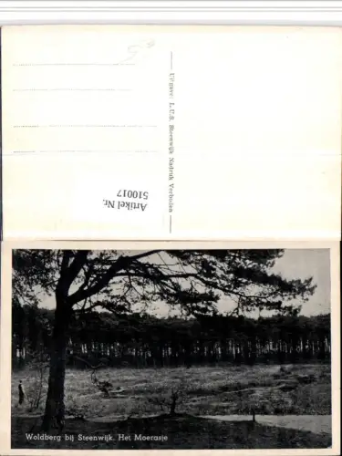 510017,Netherlands Woldberg bij Steenwijk Het Moerasje Landschaft