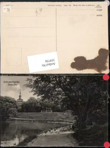 359756,Netherlands Den Haag Scheveningsche Boschjes Partie Enten