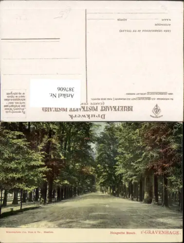 387606,Netherlands Den Haag 's-Gravenhage Haagsche Bosch Straßenansicht Bäume
