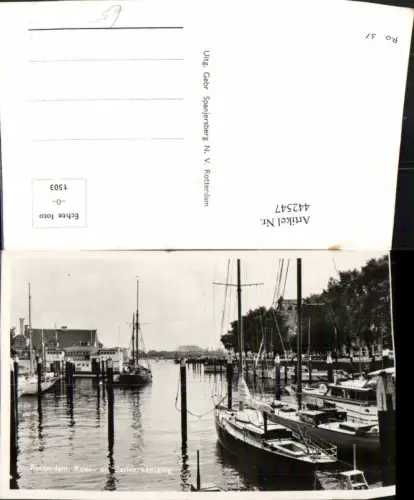442547,Netherlands Rotterdam Roei- en Zeilvereeniging Hafen Boote
