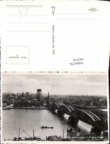 442554,Netherlands Rotterdam Maasbruggen Teilansicht Brücke