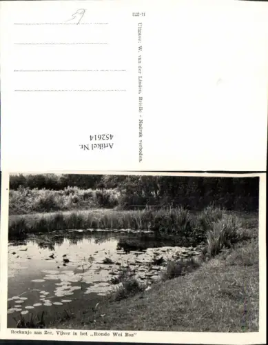 452614,Netherlands Rockanje aan Zee Vijver in het Ronde Wei Bos Teich