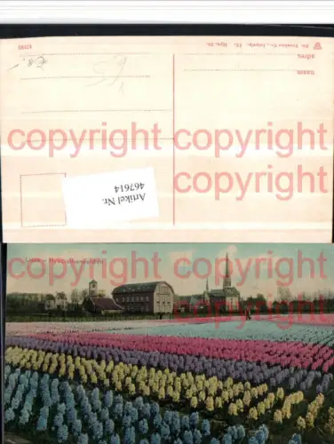 467614,Netherlands Lisse Hyacinthenvelden Hyazinthen Blumen Feld pub Trenkler 28
