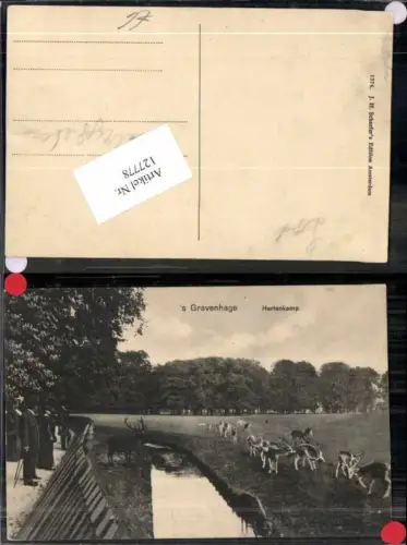 127778,Gravenhage Hertenkamp den Haag