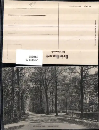 240387,Oranjewoud Laangezicht Straße Partie