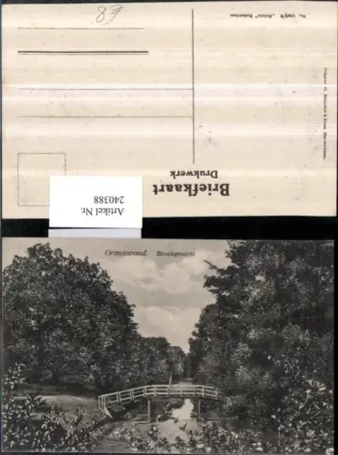 240388,Oranjewoud Boschgezicht Partie Brücke