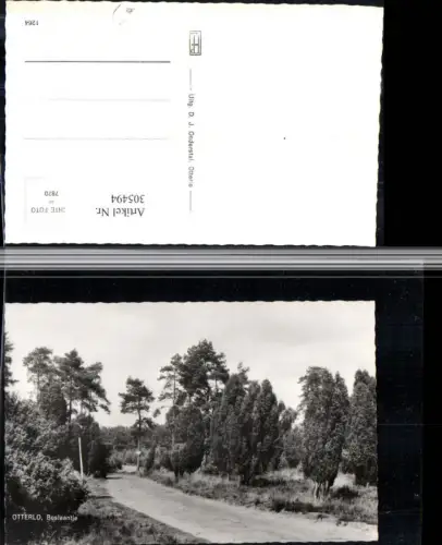 305494,Otterlo Boslaantje Wegpartie