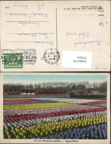 379293,Netherlands Uit de Bloemenvelden Hyacinthen Blumenfeld Hyazinthen