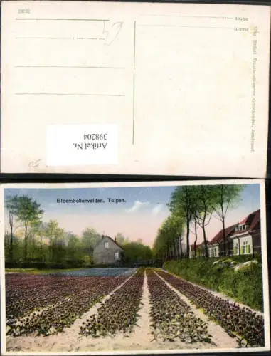 398204,Netherlands Bloembollenvelden Tulpen Blumenfeld
