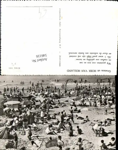 546116,Netherlands Hoek van Holland Strandleben Bademode
