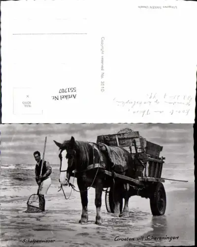 551707,Groeten uit Scheveningen Pferd Pferdefuhrwerk