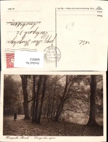 608953,Den Haag Haagsche Bosch Langs den vijver Baum Park Netherlands