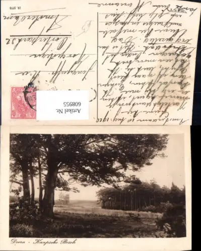 608955,Doorn Kaapsche Bosch Netherlands