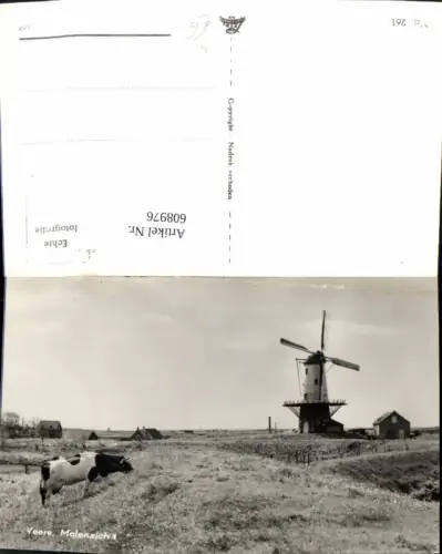 608976,Foto Ak Veere Molenzicht Windmühle Kuh Rind Netherlands