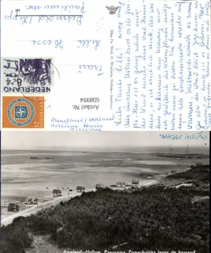 608994,Ameland-Hollum Panorama Zomerhuisjes langs de bosrand Küste Netherlands