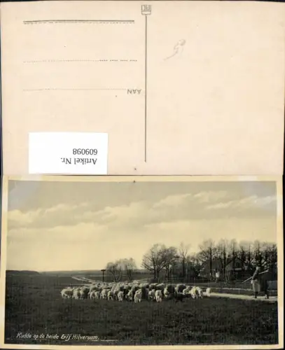 609098,Kudde op de heide bij Hilversum Schafe Schafhirte Hirte Netherlands