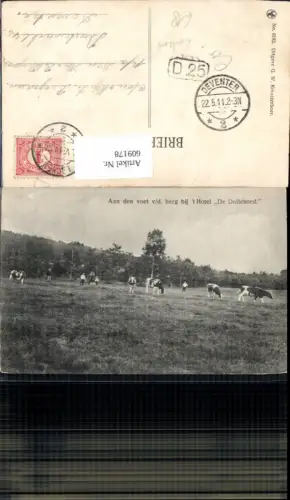 609178,Lochem Aan den voet veurod. Berg bij t Hotel De Dollehoed Kühe Rinder Netherlands