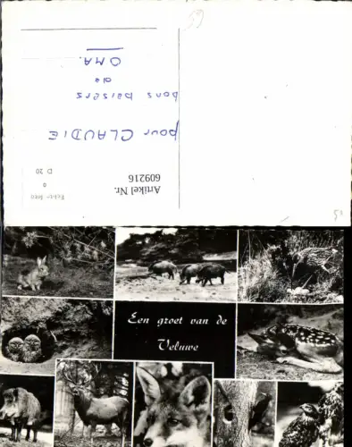 609216,Mehrbild Ak En groet van de Veluwe Tier Hae Rehkitz Hirsch Fuchs Specht Netherlands