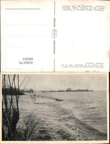 609223,Vruchtbare boomgaarden op Schouwen en Duiveland werden in de Stormramp 1953 Netherlands