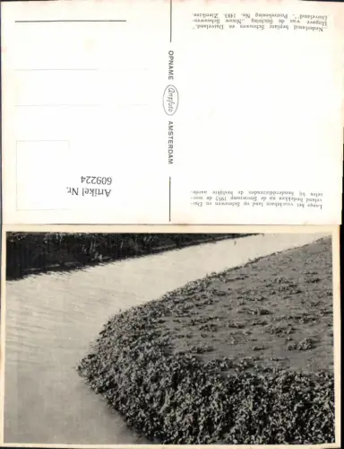 609224,Langs het vruchtbare land op Schowen en Duiveland bedekken na de Stormramp 1953 Netherlands