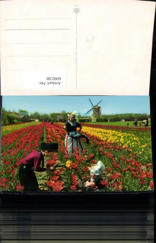 609238,Holland Frau Kinder Tracht Volkstypen Windmühle Tulpen Blumen Netherlands